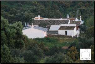 stacks_image_478D0650-E0B6-4D8E-B2D7-11410F429381